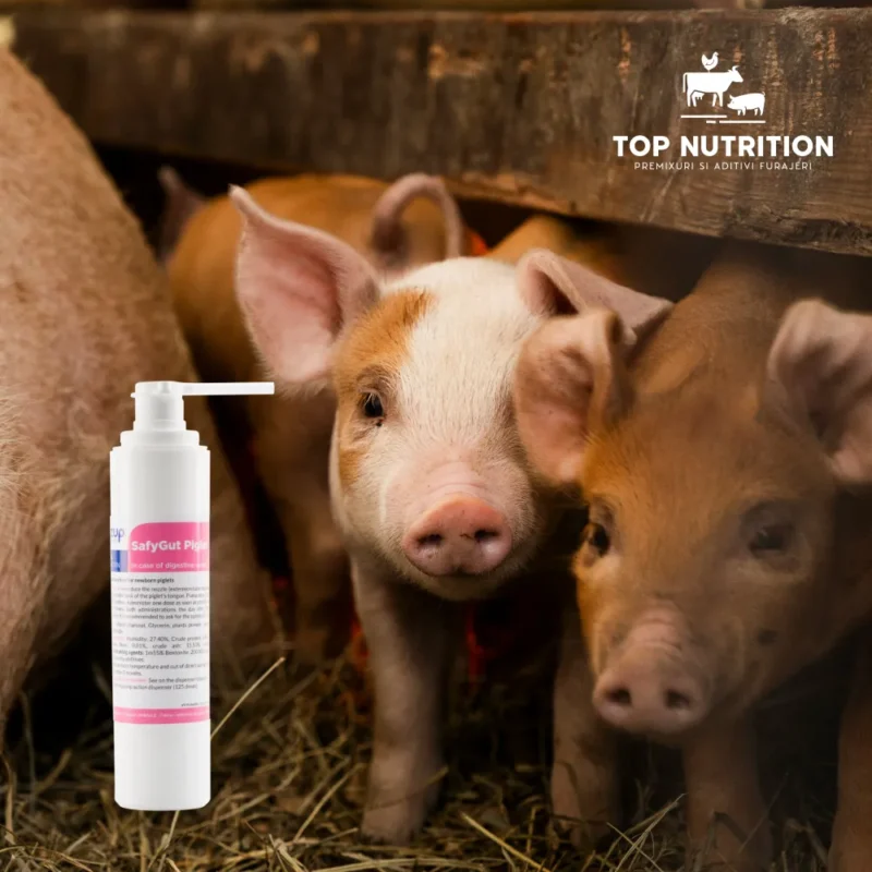 SafyGut – soluția eficientă pentru diaree la purcei