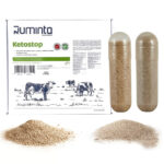 RUMINTA Ketostop Bolus – soluție completă pentru prevenirea cetozei la vacile de lapte - imagine 2