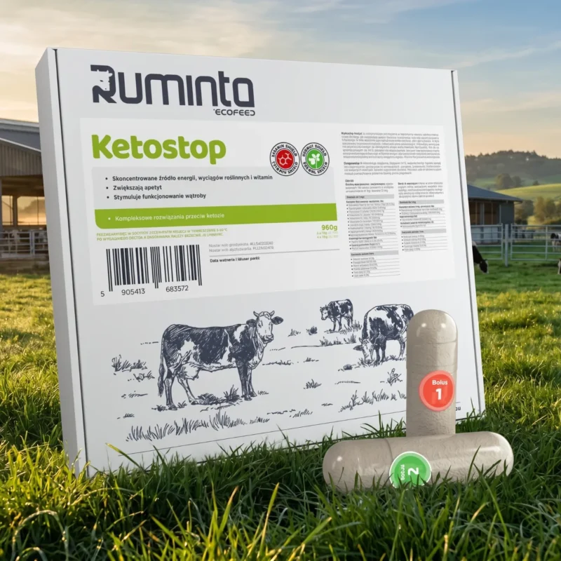 cetoza vaci de lapte preventie RUMINTA Ketostop Bolus bolus dual