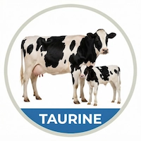 Icons taurine
